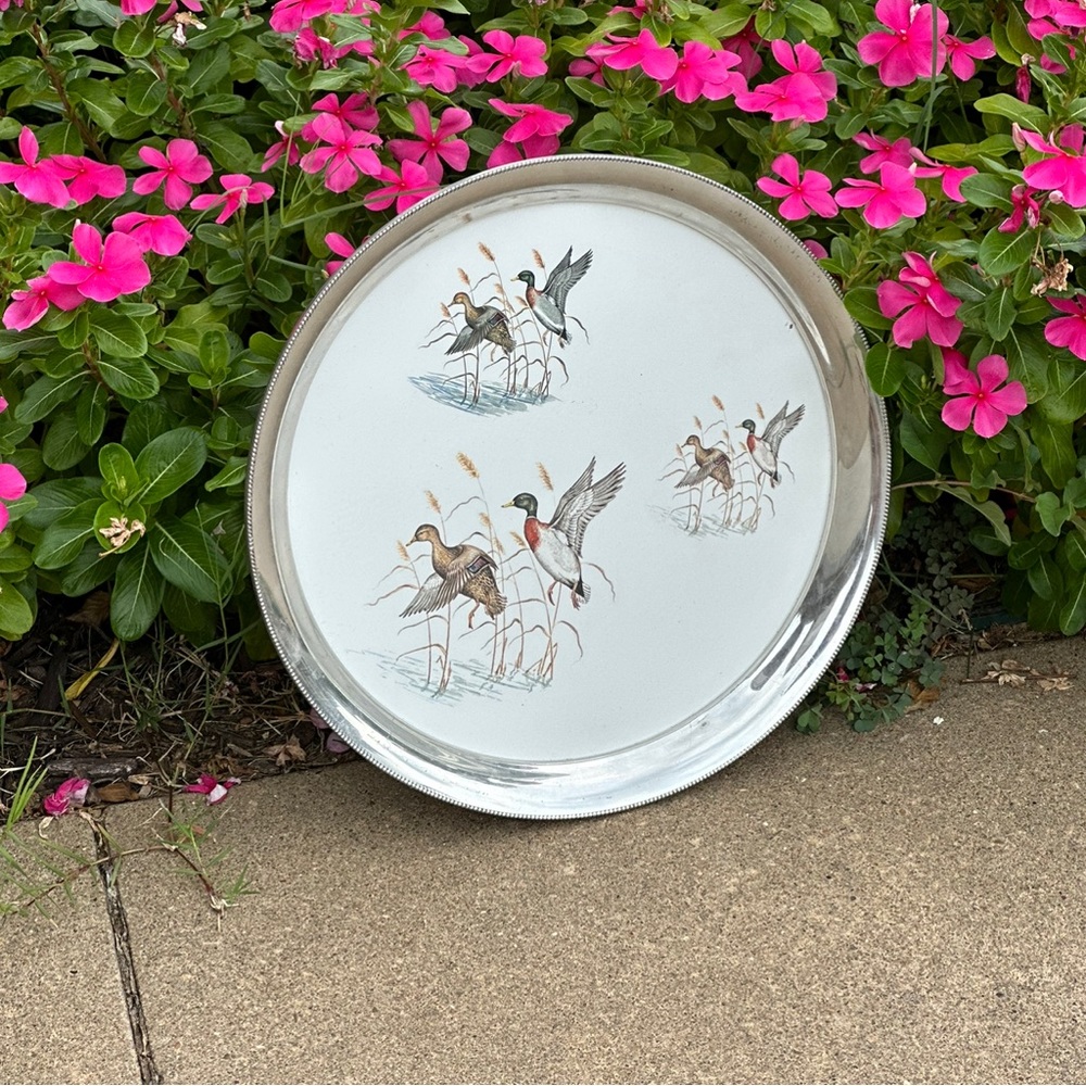 Mallard duck platter
